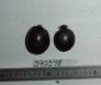 Click for 1 image(s) for this accession. FRUIT